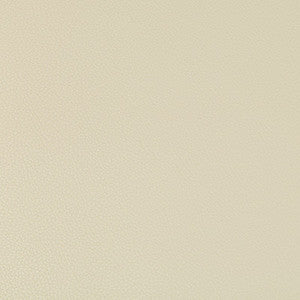 Kravet Fabric Syrus Stone