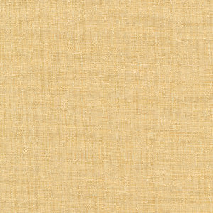 Kravet Fabric 8656-116