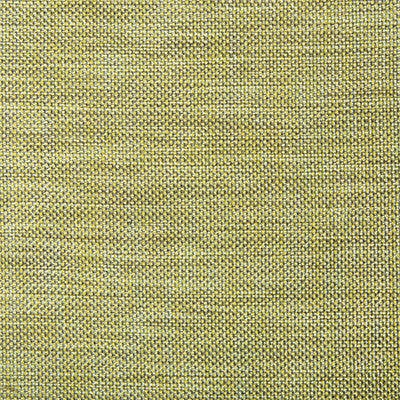 Kravet Fabric 34926-1411