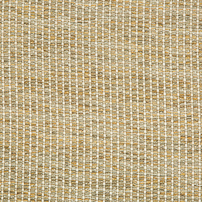 Kravet Fabric 34665-411