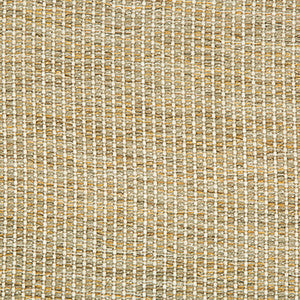 Kravet Fabric 34665-411