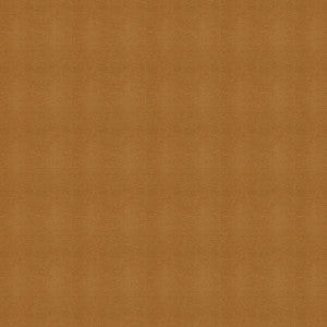 Kravet Fabric Moccasin-606