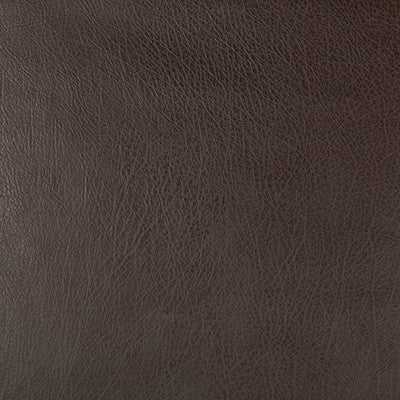 Kravet Fabric Deimos-66