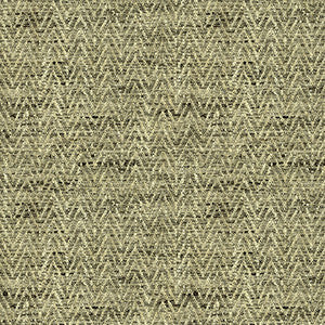 Kravet Fabric 34092-1611