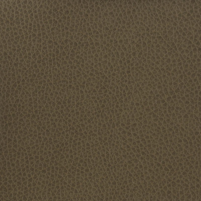 Kravet Fabric Matter-21