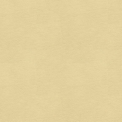 Kravet Fabric Alina-116