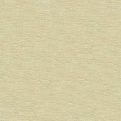 Kravet Fabric 33876-1001