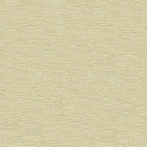 Kravet Fabric 33876-1001