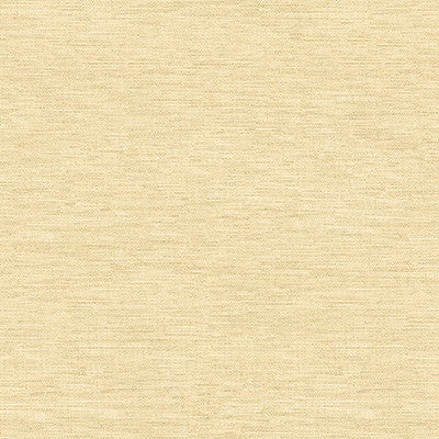 Kravet Fabric 4205-416