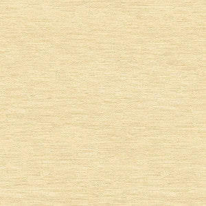 Kravet Fabric 4205-416