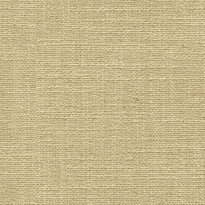 Kravet Fabric 33166-1616