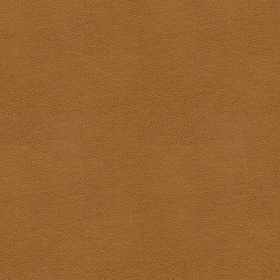 Kravet Fabric Alina-16