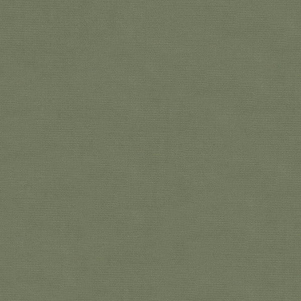 Kravet Fabric Versailles-E265120