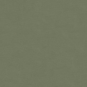 Kravet Fabric Versailles-E265120