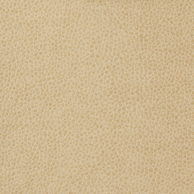 Kravet Fabric Matter-1116