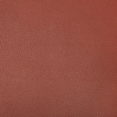 Kravet Fabric Syrus Sienna