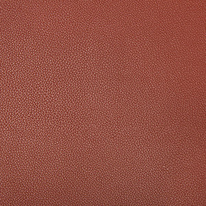 Kravet Fabric Syrus Sienna