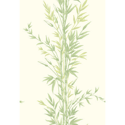 Cole & Son Wallpaper Bamboo Green