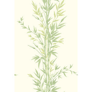Cole & Son Wallpaper Bamboo Green