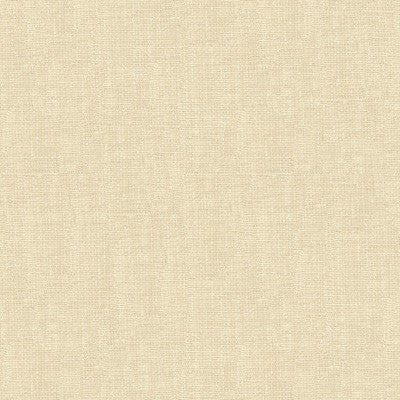 Kravet Fabric 4161-1