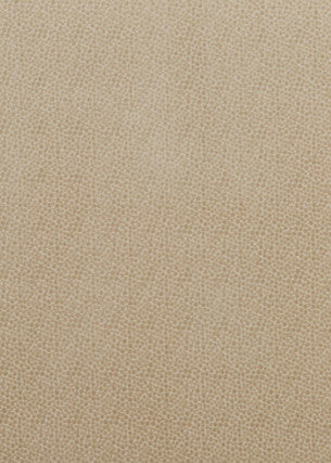 Baker Lifestyle Fabric Salsa Spot Parchment