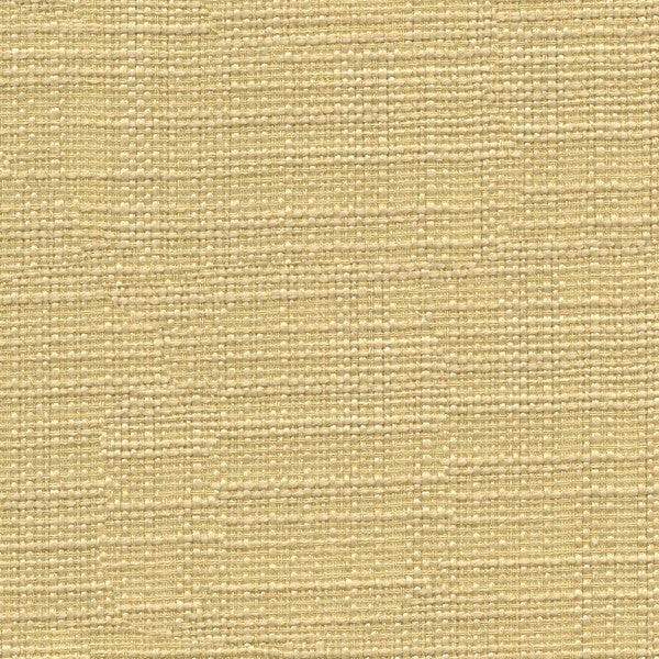 Kravet Fabric 3767-116
