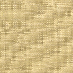 Kravet Fabric 3767-116