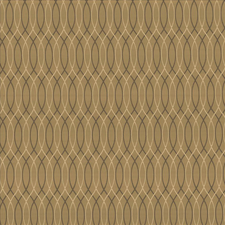 Asher Trellis Truffle by Kasmir Designer Fabric See sample 100% Polyester
 TURKEY 30,000 Wyzenbeek Double Rubs </p><p>Repeat: Horizontal: 2 2/8 inches and Vertical: 12 2/8 inches 57 - Swanky Fabrics -