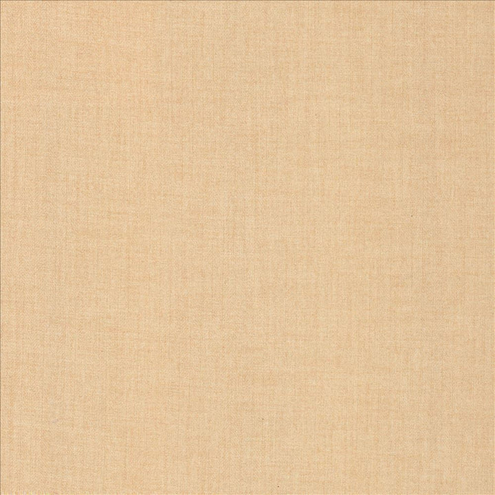Ashlynn Blush by Kasmir Designer Fabric 5159 100% Polyester TAIWAN 50,000 Wyzenbeek Double Rubs Horizontal: 0 Inches and Vertical: 0 Inches 54 - Swanky Fabrics -