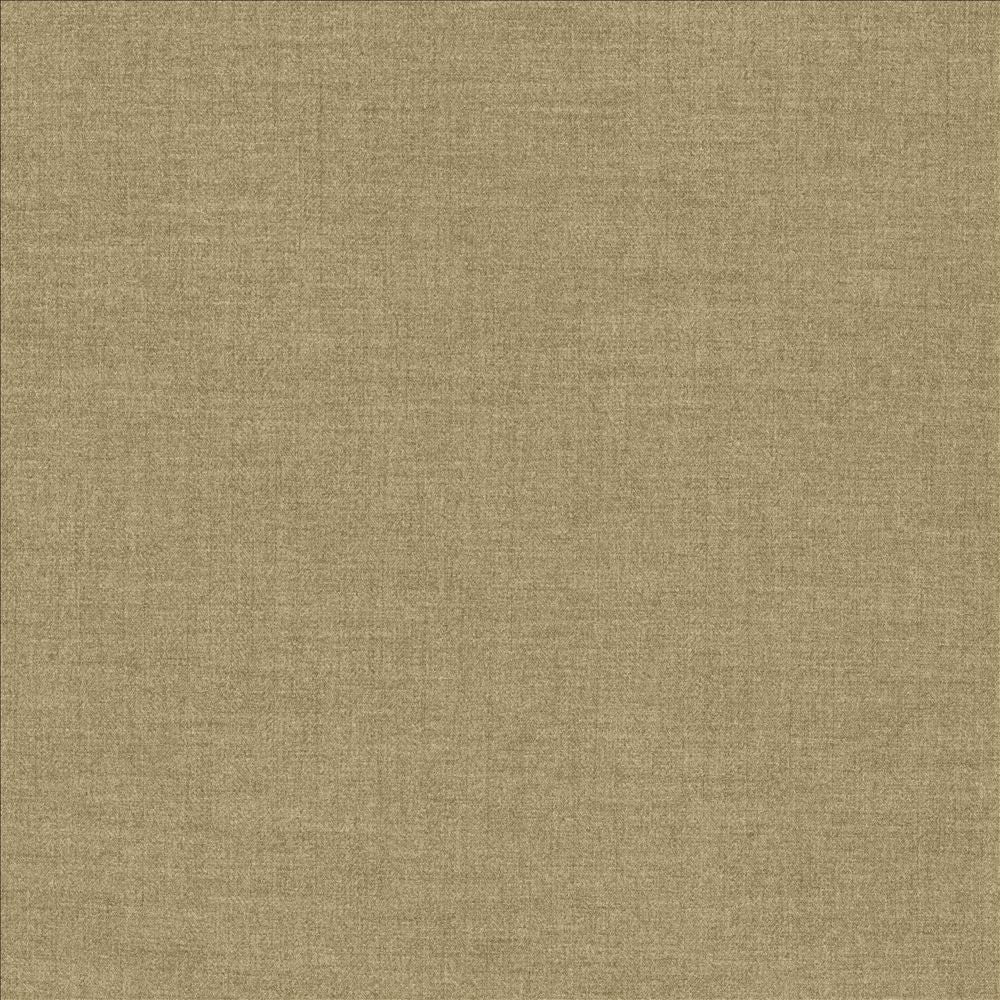 Ashlynn Hemp by Kasmir Designer Fabric 5159 100% Polyester TAIWAN 50,000 Wyzenbeek Double Rubs Horizontal: 0 Inches and Vertical: 0 Inches 54 - Swanky Fabrics -