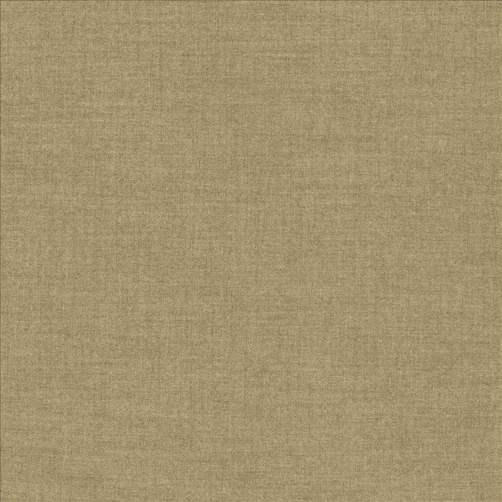 Ashlynn Hemp by Kasmir Designer Fabric 5159 100% Polyester TAIWAN 50,000 Wyzenbeek Double Rubs Horizontal: 0 Inches and Vertical: 0 Inches 54 - Swanky Fabrics -