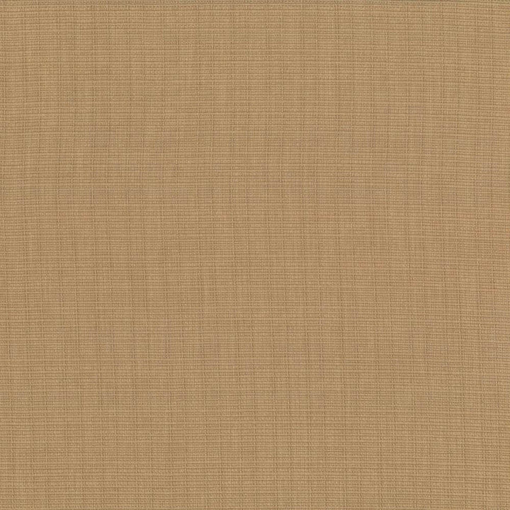 Auberge Almond by Kasmir Designer Fabric 5055 100% Polyester TAIWAN 100,000 Wyzenbeek Double Rubs Horizontal: 0 Inches and Vertical: 0 Inches 59 - 60 - Swanky Fabrics -