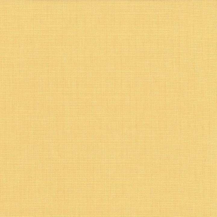 Auberge Champagne by Kasmir Designer Fabric 5055 100% Polyester
 TAIWAN 100,000 Wyzenbeek Double Rubs </p><p>Repeat: Horizontal: N/A and Vertical: N/A 59 - Swanky Fabrics -