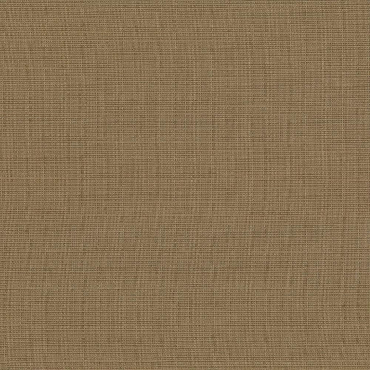 Auberge Cork by Kasmir Designer Fabric 5055 100% Polyester
 TAIWAN 100,000 Wyzenbeek Double Rubs </p><p>Repeat: Horizontal: N/A and Vertical: N/A 59 - Swanky Fabrics -