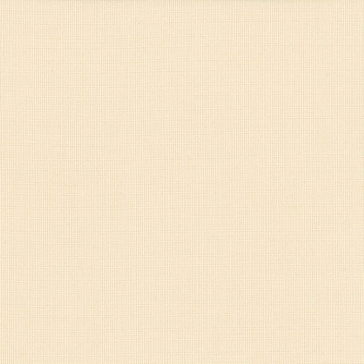 Auberge Creme by Kasmir Designer Fabric 5055 100% Polyester
 TAIWAN </p><p>Repeat: Horizontal: N/A and Vertical: N/A 59 - 60 - Swanky Fabrics -