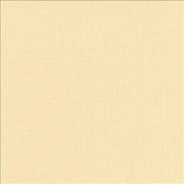 Auberge Ecru by Kasmir Designer Fabric 5055 100% Polyester TAIWAN 100,000 Wyzenbeek Double Rubs H: N/A, V: N/A 59 - 60 - Swanky Fabrics - Kasmir