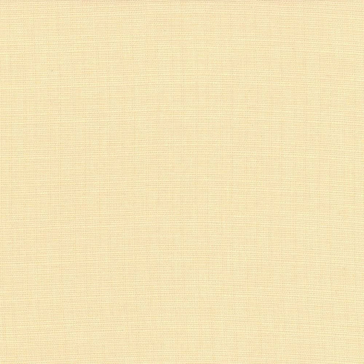 Auberge Ecru by Kasmir Designer Fabric See sample 100% Polyester
 TAIWAN 100,000 Wyzenbeek Double Rubs </p><p>Repeat: Horizontal: N/A and Vertical: N/A 59 - Swanky Fabrics -