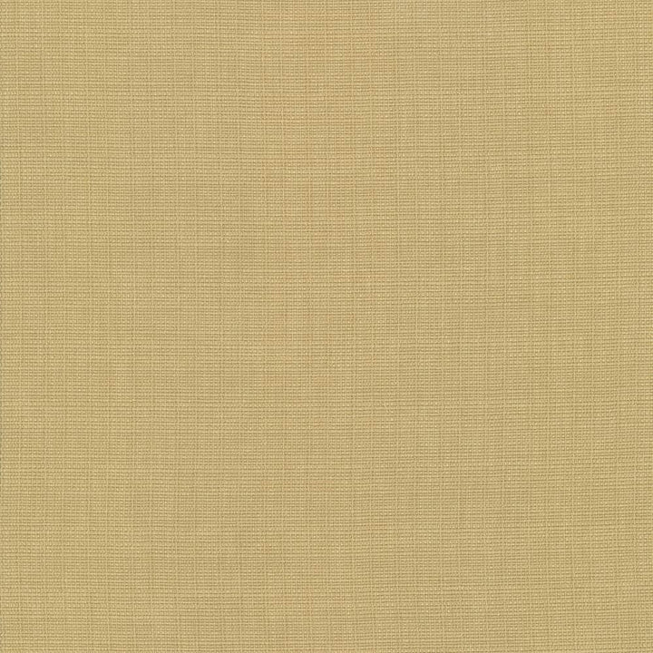 Auberge Gold by Kasmir Designer Fabric See sample 100% Polyester
 TAIWAN 100,000 Wyzenbeek Double Rubs </p><p>Repeat: Horizontal: N/A and Vertical: N/A 59 - Swanky Fabrics -