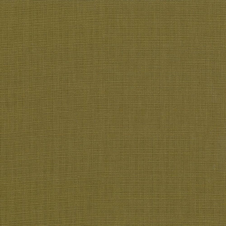 Auberge Olive by Kasmir Designer Fabric See sample 100% Polyester
 TAIWAN 100,000 Wyzenbeek Double Rubs </p><p>Repeat: Horizontal: N/A and Vertical: N/A 59 - Swanky Fabrics -