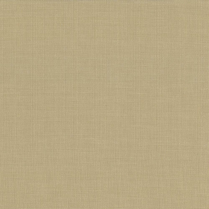 Auberge Taupe by Kasmir Designer Fabric 5055 100% Polyester
 TAIWAN 100,000 Wyzenbeek Double Rubs </p><p>Repeat: Horizontal: N/A and Vertical: N/A 59 - Swanky Fabrics -
