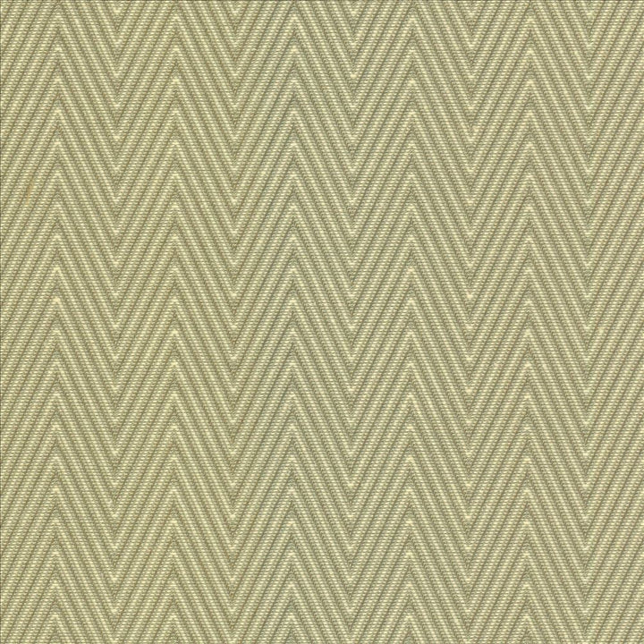 Aventura Aloe by Kasmir Designer Fabric 5099 52% Polyester
48% Cotton
 INDIA </p><p>Repeat: Horizontal: 1 inches and Vertical: 2/8 inches 54 - 55 - Swanky Fabrics -