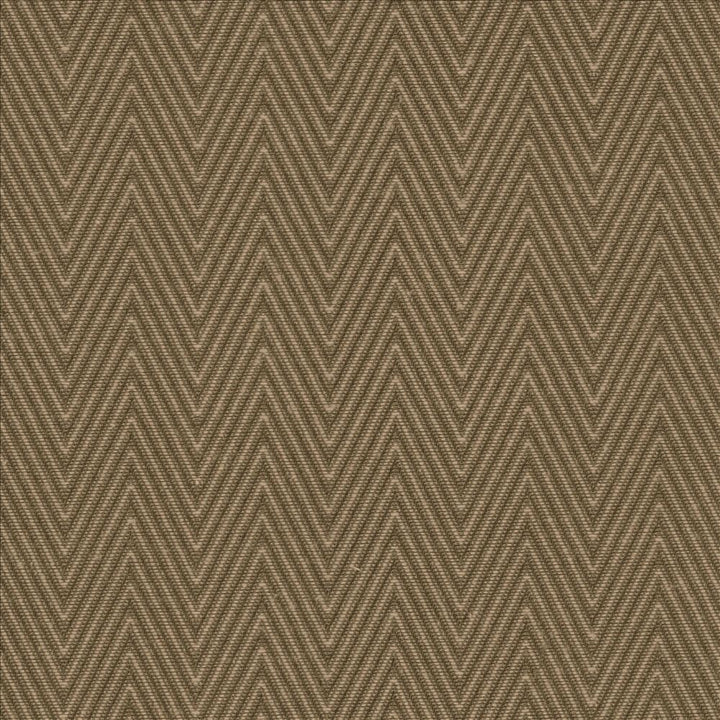 Aventura Cocoa by Kasmir Designer Fabric 5093 52% Polyester 48% Cotton INDIA 50,000 Wyzenbeek Double Rubs Horizontal: 1 inches and Vertical: 2/8 inches 54 - 55 - Swanky Fabrics -