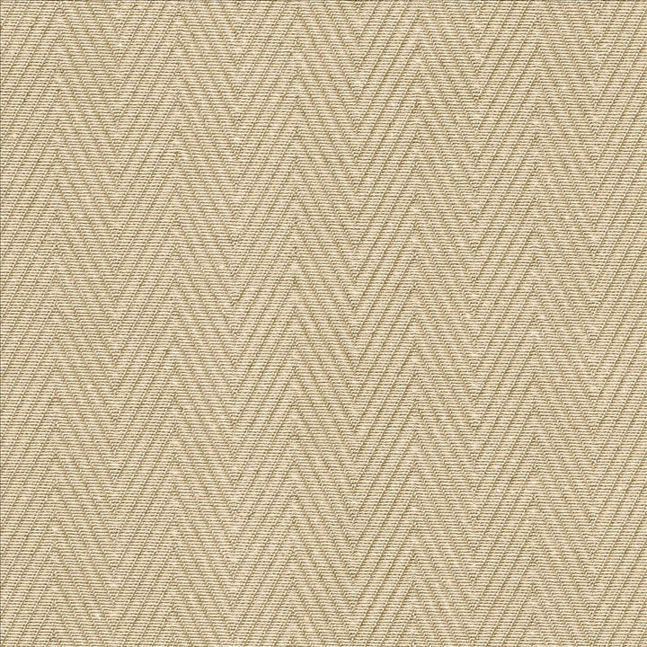 Aventura Sand  by Kasmir Designer Fabric 5093 52% Polyester
48% Cotton
 INDIA 50,000 Wyzenbeek Double Rubs Horizontal: 1 inches and Vertical: 2/8 inches 54  - Swanky Fabrics -