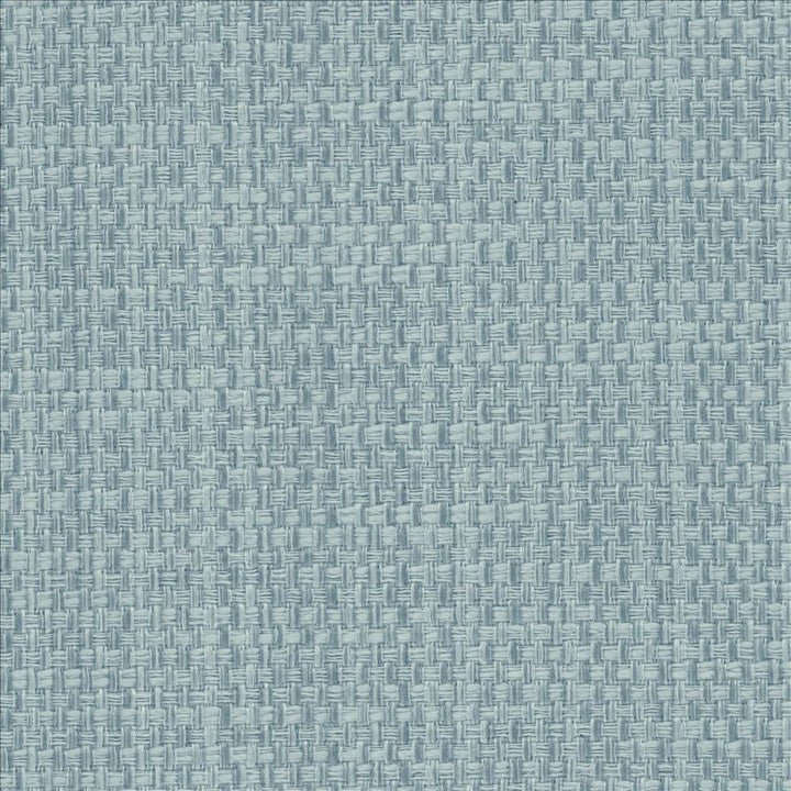 Avino Aquamarine by Kasmir Designer Fabric 5098 64% Cotton
36% Polyester
 CHINA 50,000 Wyzenbeek Double Rubs </p><p>Repeat: Horizontal: N/A and Vertical: N/A 55 - Swanky Fabrics -