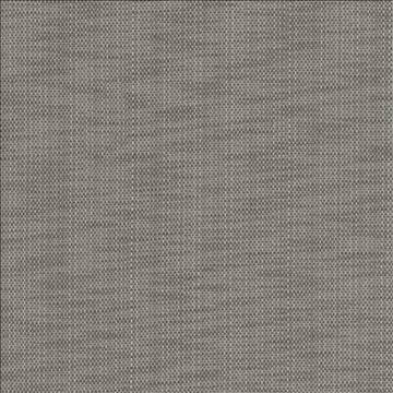 Avino Granite by Kasmir Designer Fabric 5100 64% Cotton 36% Polyester CHINA 50,000 Wyzenbeek Double Rubs H: N/A, V: N/A 55 - Swanky Fabrics - Kasmir