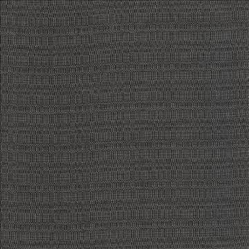 Aziza Charcoal by Kasmir Designer Fabric 5101 55% Rayon 45% Polyester CHINA 50,000 Martindale Cycles H: N/A, V: N/A 55 - 58 - Swanky Fabrics - Kasmir