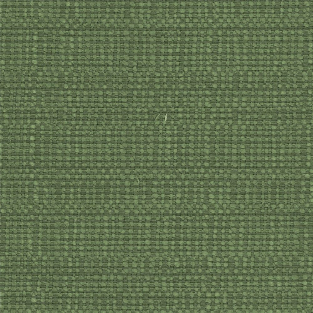 Aziza Grass  by Kasmir Designer Fabric 5099 55% Rayon
45% Polyester
 CHINA 50,000 Martindale Cycles Horizontal: N/A and Vertical: N/A 55  - Swanky Fabrics -
