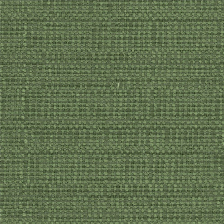 Aziza Grass  by Kasmir Designer Fabric 5099 55% Rayon
45% Polyester
 CHINA 50,000 Martindale Cycles Horizontal: N/A and Vertical: N/A 55  - Swanky Fabrics -