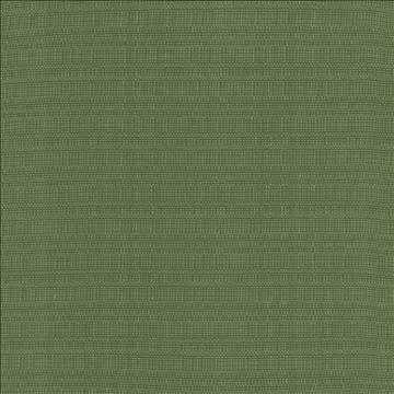 Aziza Grass by Kasmir Designer Fabric 5099 55% Rayon 45% Polyester CHINA 50,000 Martindale Cycles H: N/A, V: N/A 55 - 58 - Swanky Fabrics - Kasmir