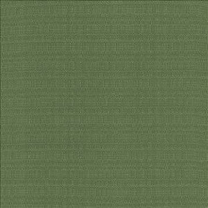 Kasmir Fabric Aziza Grass